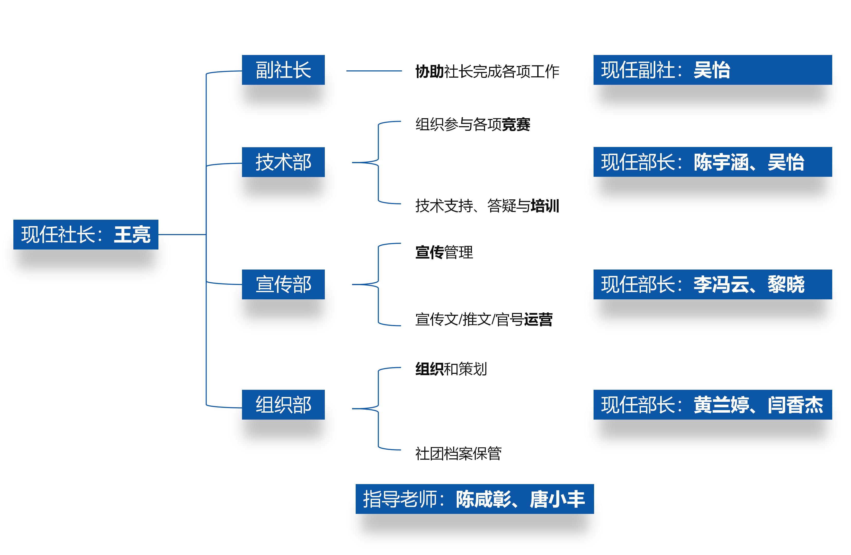 社团组织架构图